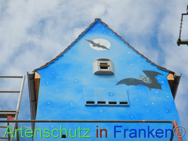 Bild zum Eintrag (101695-160)