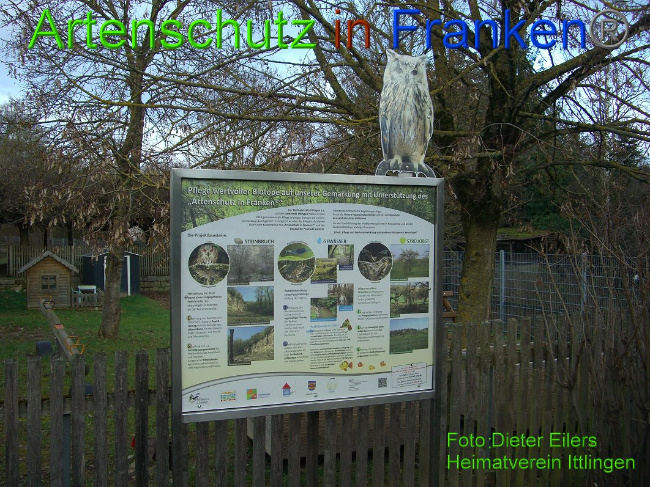 © Dieter Eilers Heimatverein Ittlingen Bild zum Eintrag (1017265-160)