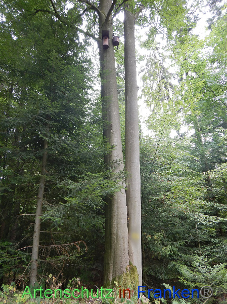 Bild zum Eintrag (101730-160)