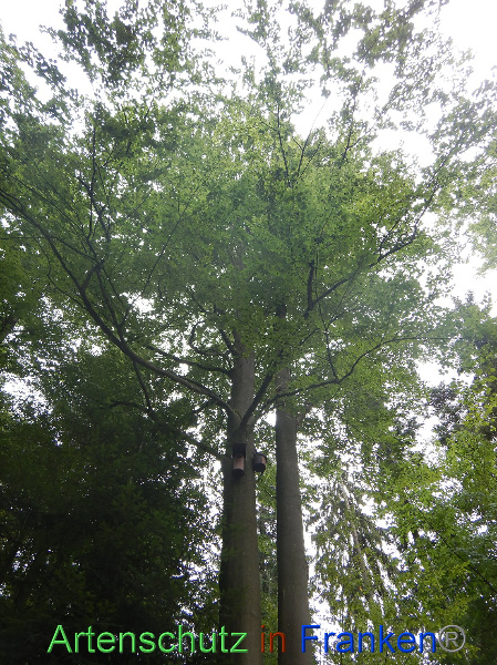 Bild zum Eintrag (101732-160)