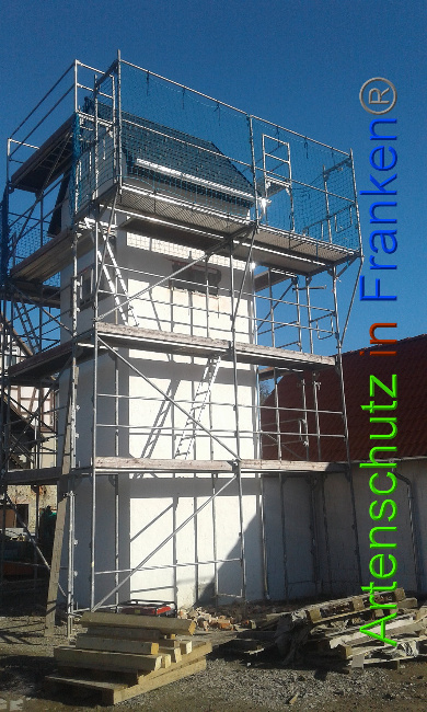 © Artenschutz in Franken® Bild zum Eintrag (1017608-160)