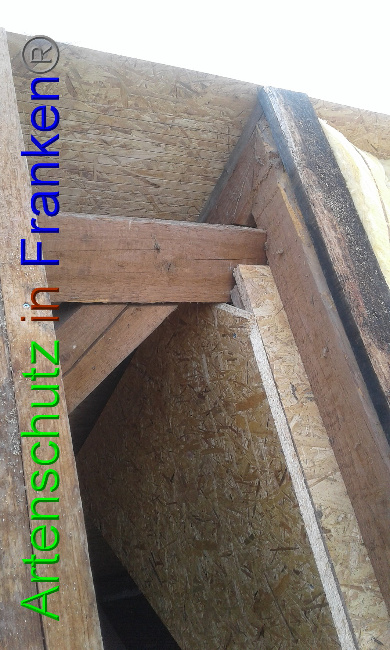 © Artenschutz in Franken® Bild zum Eintrag (1017620-160)