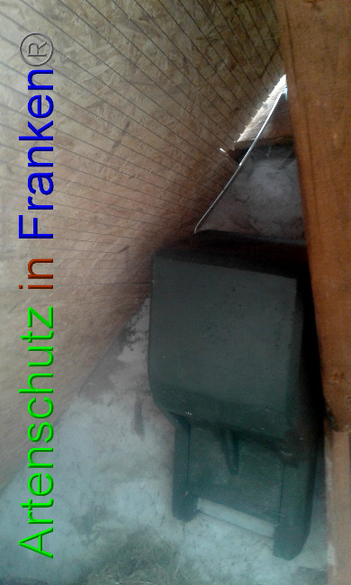 © Artenschutz in Franken® Bild zum Eintrag (1017621-160)