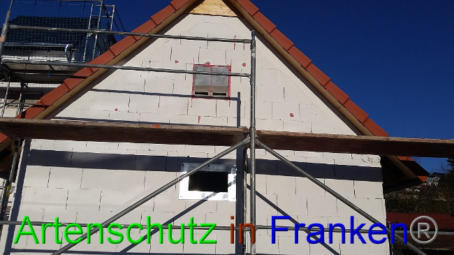 © Artenschutz in Franken® Bild zum Eintrag (1017647-160)