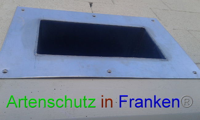 © Artenschutz in Franken® Bild zum Eintrag (1017648-160)