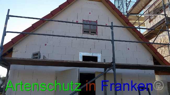 © Artenschutz in Franken® Bild zum Eintrag (1017649-160)