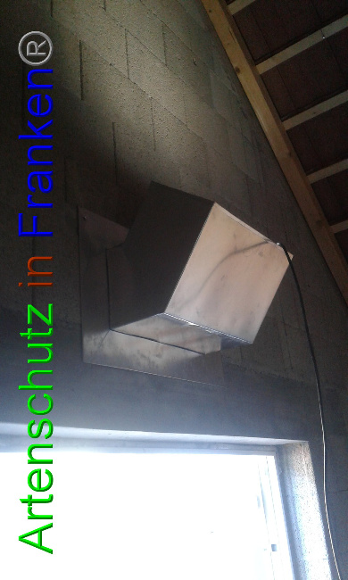 © Artenschutz in Franken® Bild zum Eintrag (1017650-160)