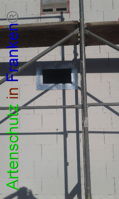 © Artenschutz in Franken® Bild zum Eintrag (1017651-160)
