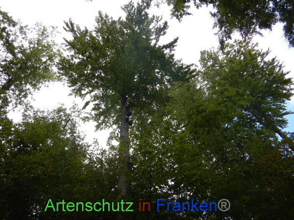 Bild zum Eintrag (101766-160)