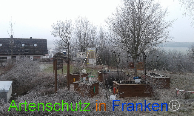 © Artenschutz in Franken® Bild zum Eintrag (1017917-160)