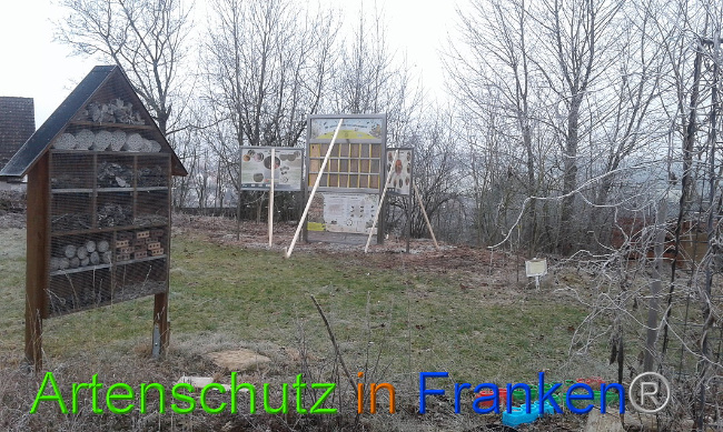 © Artenschutz in Franken® Bild zum Eintrag (1017919-160)