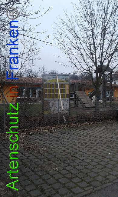 © Artenschutz in Franken® Bild zum Eintrag (1017969-160)