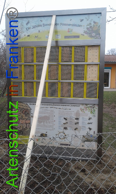 © Artenschutz in Franken® Bild zum Eintrag (1017970-160)
