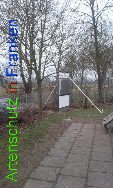 © Artenschutz in Franken® Bild zum Eintrag (1017971-160)