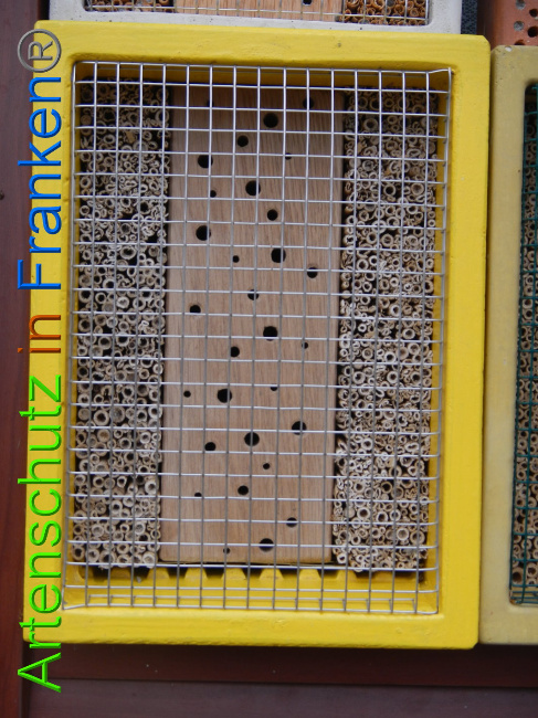 © Artenschutz in Franken® Bild zum Eintrag (1018097-160)