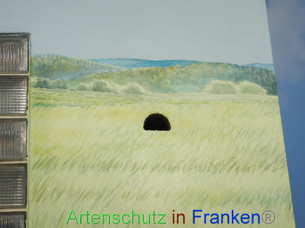 Bild zum Eintrag (101832-160)