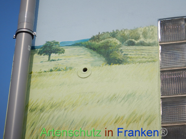 Bild zum Eintrag (101833-160)