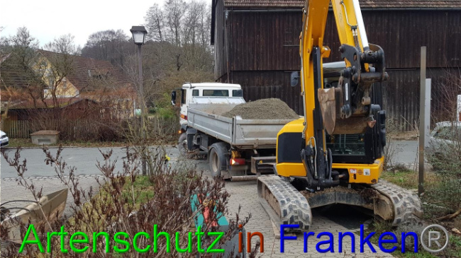 © Artenschutz in Franken® Bild zum Eintrag (1018978-160)