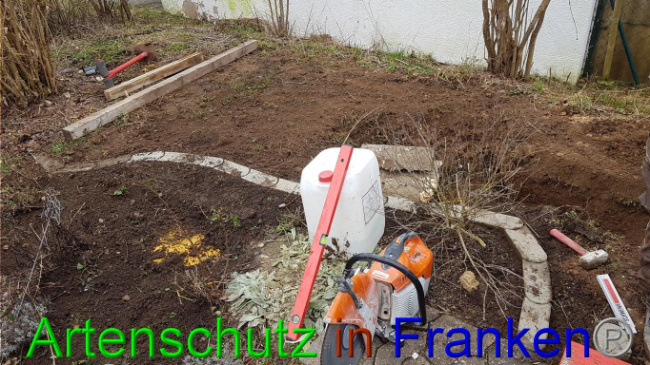 © Artenschutz in Franken® Bild zum Eintrag (1018989-160)