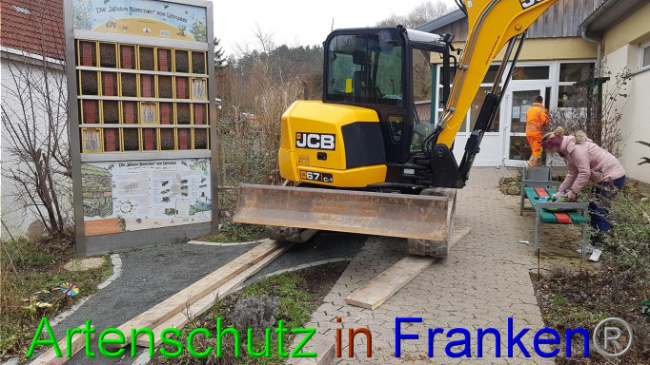 © Artenschutz in Franken® Bild zum Eintrag (1018996-160)