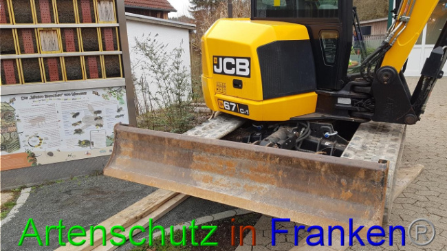 © Artenschutz in Franken® Bild zum Eintrag (1018997-160)