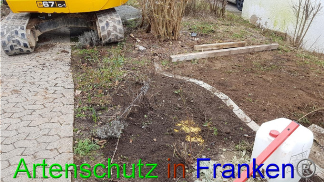© Artenschutz in Franken® Bild zum Eintrag (1019000-160)