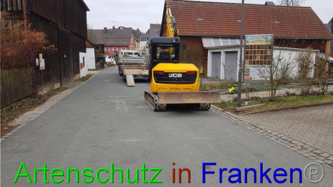 © Artenschutz in Franken® Bild zum Eintrag (1019001-160)