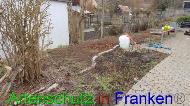 © Artenschutz in Franken® Bild zum Eintrag (1019005-160)
