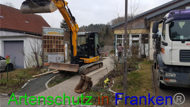 © Artenschutz in Franken® Bild zum Eintrag (1019006-160)