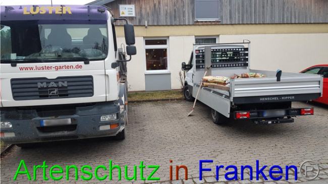 © Artenschutz in Franken® Bild zum Eintrag (1019007-160)