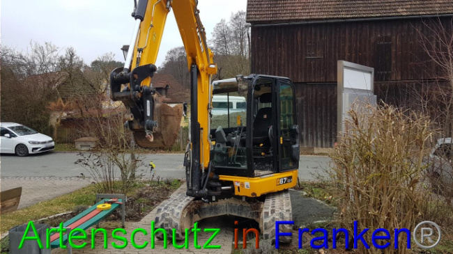 © Artenschutz in Franken® Bild zum Eintrag (1019011-160)