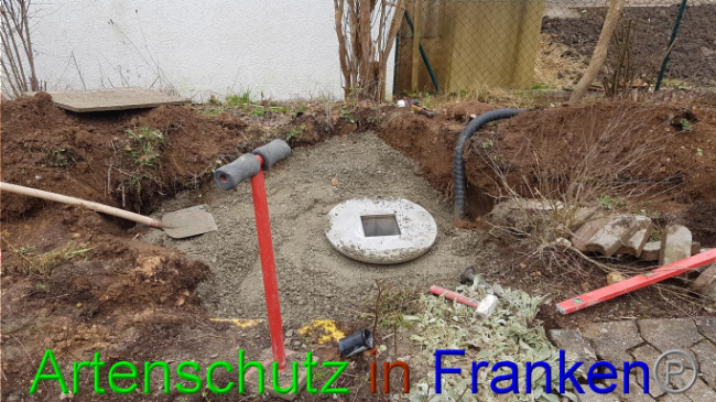 © Artenschutz in Franken® Bild zum Eintrag (1019013-160)