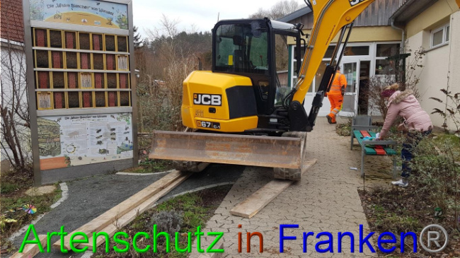 © Artenschutz in Franken® Bild zum Eintrag (1019016-160)