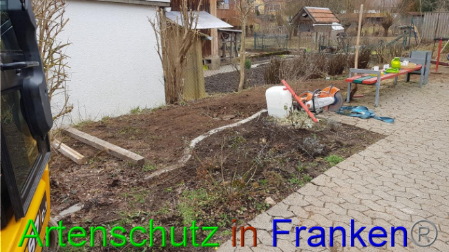 © Artenschutz in Franken® Bild zum Eintrag (1019017-160)
