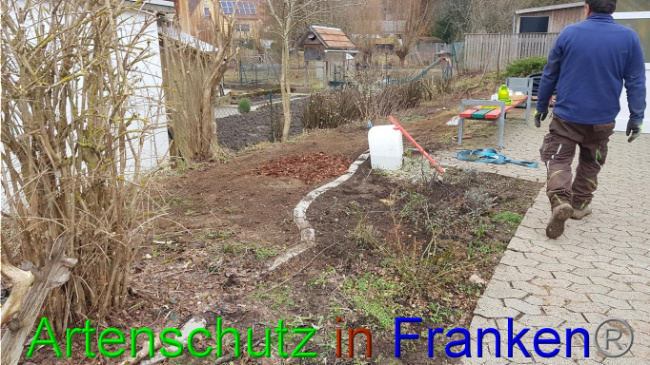 © Artenschutz in Franken® Bild zum Eintrag (1019018-160)