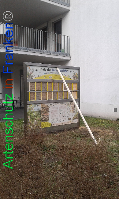 © Artenschutz in Franken® Bild zum Eintrag (1019291-160)