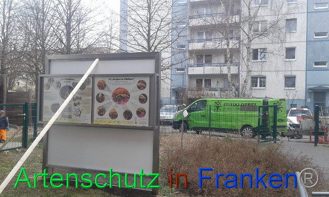 © Artenschutz in Franken® Bild zum Eintrag (1019296-160)