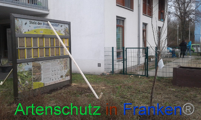 © Artenschutz in Franken® Bild zum Eintrag (1019299-160)