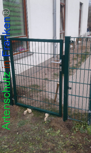 © Artenschutz in Franken® Bild zum Eintrag (1019300-160)