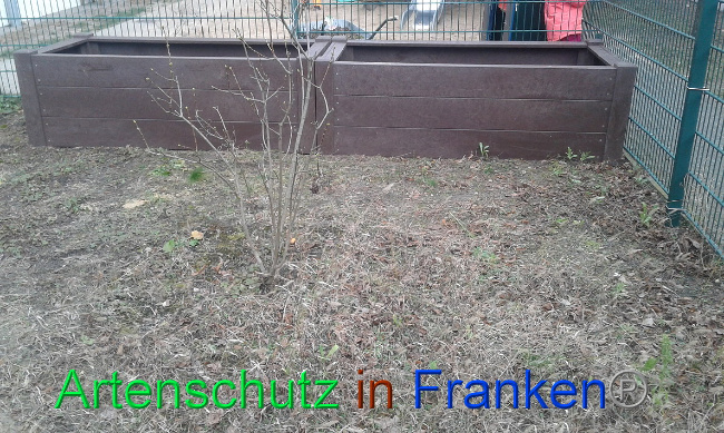 © Artenschutz in Franken® Bild zum Eintrag (1019302-160)