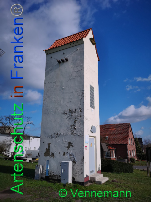 © Artenschutz in Franken® Bild zum Eintrag (1019342-160)