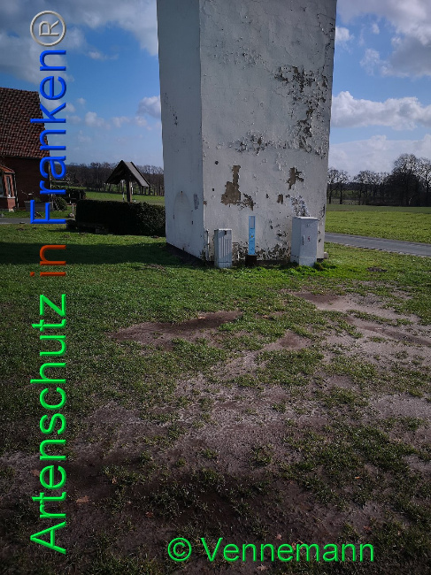 © Artenschutz in Franken® Bild zum Eintrag (1019343-160)
