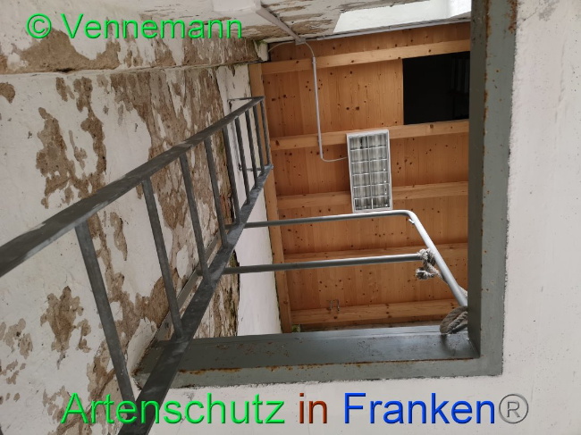 © Artenschutz in Franken® Bild zum Eintrag (1019350-160)