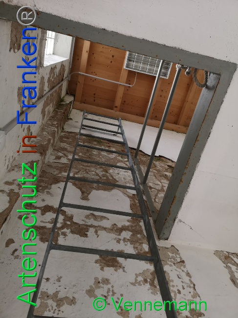 © Artenschutz in Franken® Bild zum Eintrag (1019351-160)