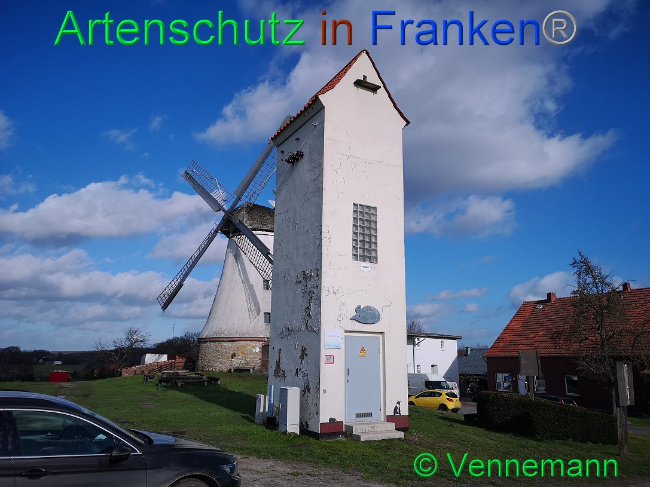 © Artenschutz in Franken® Bild zum Eintrag (1019355-160)