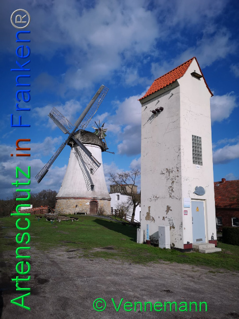 © Artenschutz in Franken® Bild zum Eintrag (1019356-160)