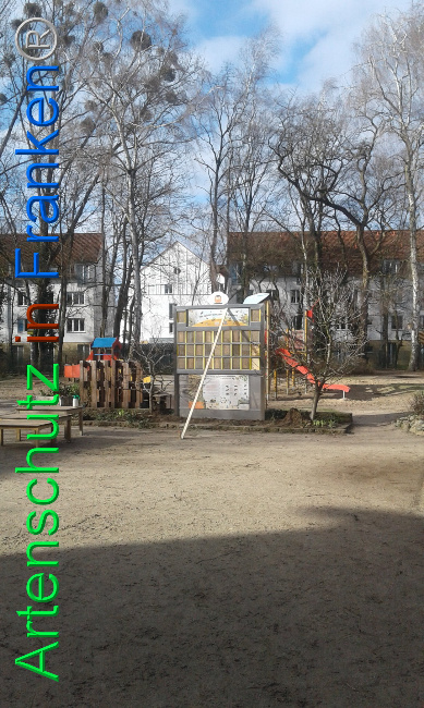 © Artenschutz in Franken® Bild zum Eintrag (1019408-160)