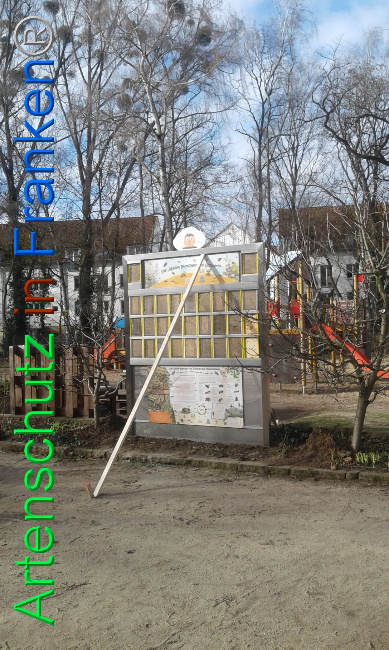 © Artenschutz in Franken® Bild zum Eintrag (1019409-160)