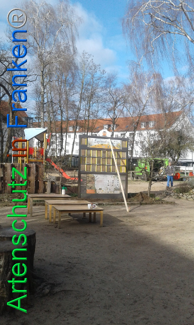© Artenschutz in Franken® Bild zum Eintrag (1019410-160)