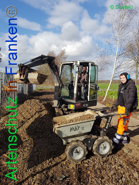 © Artenschutz in Franken® Sonfeld Bild zum Eintrag (1019449-160)